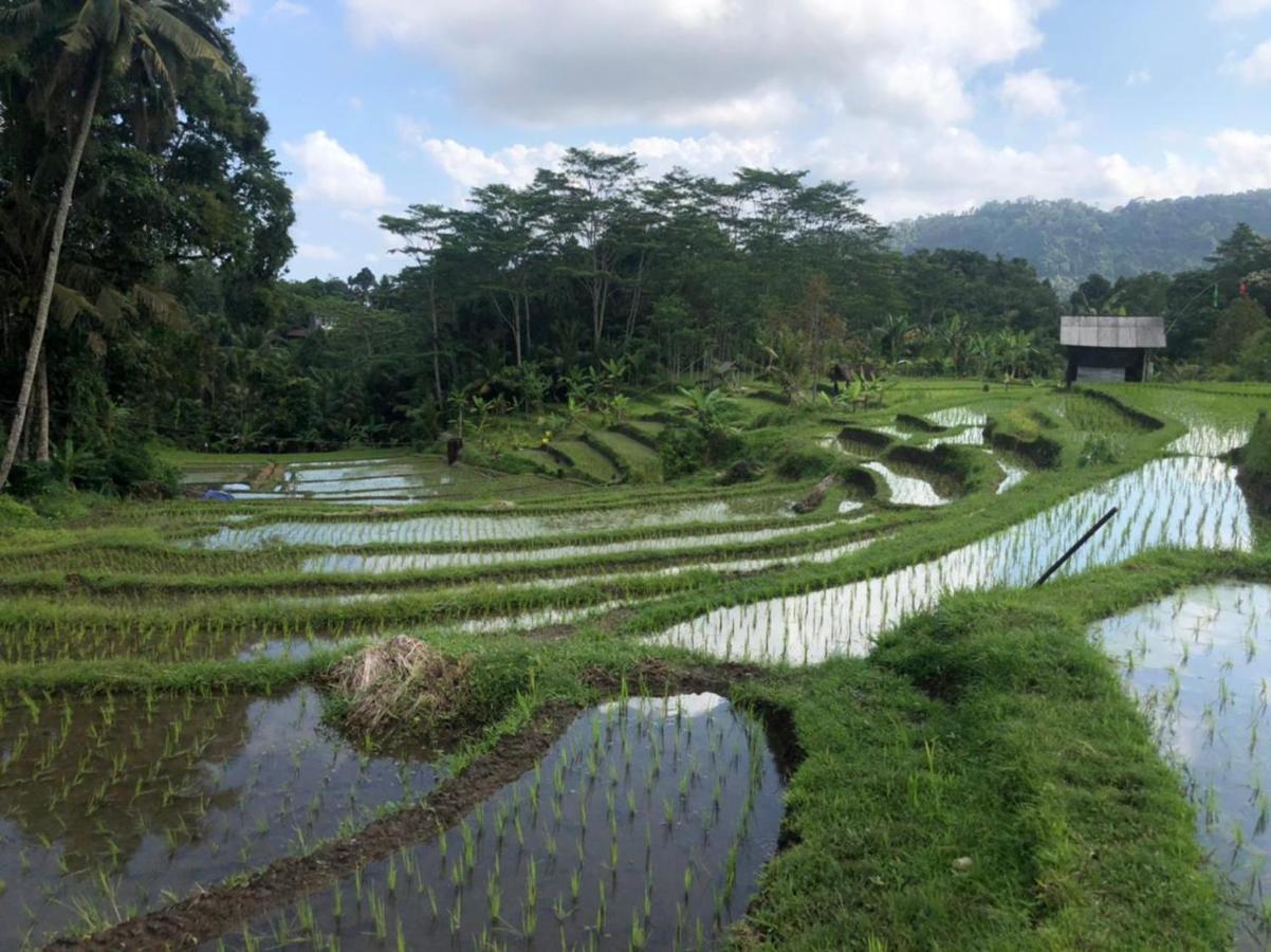 Pondok Masa Depan Sidemen  Luaran gambar